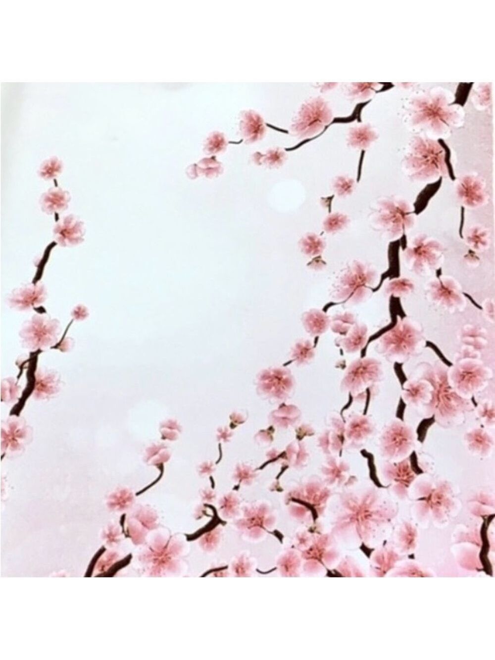 25 10x13 Poly Mailers Blossoms and Rose Variety Bundle Lavender, Cherry, - Picture 3 of 7